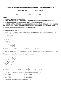 2022-2023学年西藏自治区昌吉州数学七年级第二学期期末联考模拟试题含答案