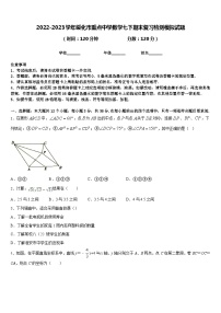 2022-2023学年绥化市重点中学数学七下期末复习检测模拟试题含答案