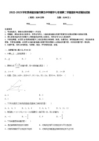 2022-2023学年贵州省安顺市第五中学数学七年级第二学期期末考试模拟试题含答案