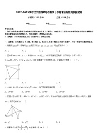 2022-2023学年辽宁省葫芦岛市数学七下期末达标检测模拟试题含答案