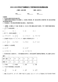 2022-2023学年辽宁省皇姑区七下数学期末综合测试模拟试题含答案