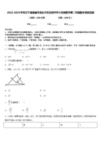 2022-2023学年辽宁省盘锦市双台子区实验中学七年级数学第二学期期末预测试题含答案