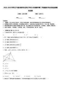 2022-2023学年辽宁省沈阳市东北育才学校七年级数学第二学期期末学业质量监测模拟试题含答案