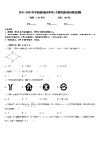 2022-2023学年鄂州市重点中学七下数学期末达标检测试题含答案