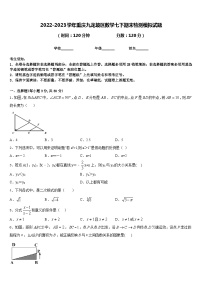 2022-2023学年重庆九龙坡区数学七下期末检测模拟试题含答案