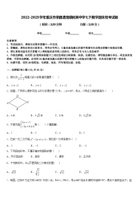 2022-2023学年重庆市荣昌清流镇民族中学七下数学期末统考试题含答案