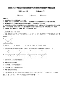 2022-2023学年重庆市实验学校数学七年级第二学期期末考试模拟试题含答案