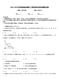 2022-2023学年陕西省山阳县七下数学期末质量检测模拟试题含答案