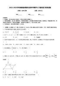 2022-2023学年陕西省咸阳市实验中学数学七下期末复习检测试题含答案