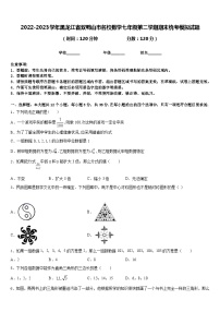 2022-2023学年黑龙江省双鸭山市名校数学七年级第二学期期末统考模拟试题含答案