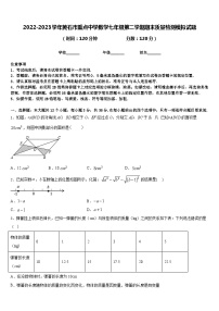 2022-2023学年黄石市重点中学数学七年级第二学期期末质量检测模拟试题含答案