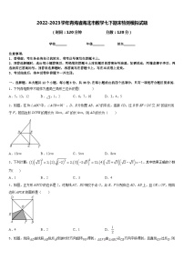 2022-2023学年青海省海北市数学七下期末检测模拟试题含答案