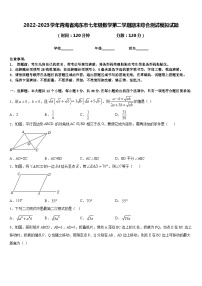 2022-2023学年青海省海东市七年级数学第二学期期末综合测试模拟试题含答案