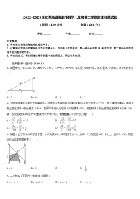 2022-2023学年青海省海南市数学七年级第二学期期末经典试题含答案