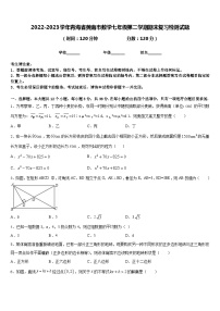 2022-2023学年青海省黄南市数学七年级第二学期期末复习检测试题含答案