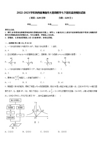 2022-2023学年陕西省渭南市大荔县数学七下期末监测模拟试题含答案