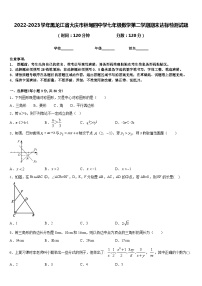 2022-2023学年黑龙江省大庆市林甸四中学七年级数学第二学期期末达标检测试题含答案