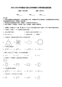 2022-2023学年黑龙江省大庆市林甸县七下数学期末监测试题含答案