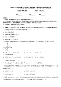 2022-2023学年黑龙江省大庆市肇源七下数学期末复习检测试题含答案