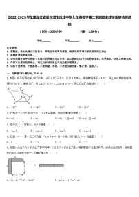 2022-2023学年黑龙江省哈尔滨市风华中学七年级数学第二学期期末教学质量检测试题含答案