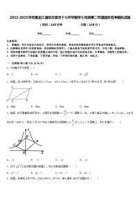 2022-2023学年黑龙江省哈尔滨市十七中学数学七年级第二学期期末统考模拟试题含答案