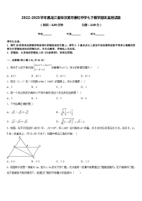 2022-2023学年黑龙江省哈尔滨市萧红中学七下数学期末监测试题含答案