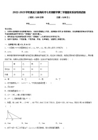 2022-2023学年黑龙江省海伦市七年级数学第二学期期末质量检测试题含答案