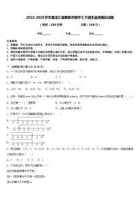 2022-2023学年黑龙江省鹤岗市数学七下期末监测模拟试题含答案