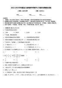 2022-2023学年黑龙江省鸡西中学数学七下期末经典模拟试题含答案