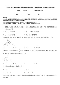 2022-2023学年黑龙江省齐齐哈尔市昂溪区七年级数学第二学期期末统考试题含答案