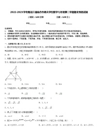 2022-2023学年黑龙江省尚志市逸夫学校数学七年级第二学期期末预测试题含答案