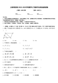 上海市嘉定区2022-2023学年数学七下期末学业质量监测试题含答案