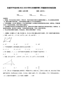 东省济宁市金乡县2022-2023学年七年级数学第二学期期末综合测试试题含答案