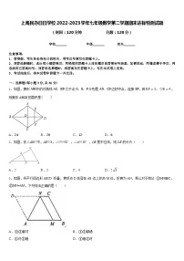 上海民办日日学校2022-2023学年七年级数学第二学期期末达标检测试题含答案