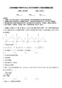 上海市黄浦区卢湾中学2022-2023学年数学七下期末经典模拟试题含答案