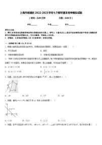 上海市杨浦区2022-2023学年七下数学期末统考模拟试题含答案