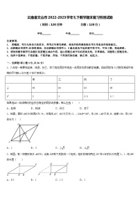 云南省文山市2022-2023学年七下数学期末复习检测试题含答案