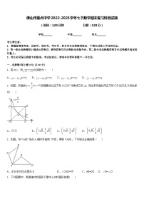 佛山市重点中学2022-2023学年七下数学期末复习检测试题含答案