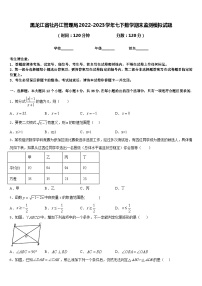 黑龙江省牡丹江管理局2022-2023学年七下数学期末监测模拟试题含答案