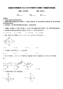 云南省红河州弥勒市2022-2023学年数学七年级第二学期期末检测试题含答案