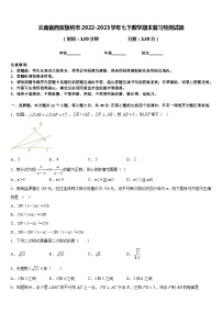 云南省西双版纳市2022-2023学年七下数学期末复习检测试题含答案