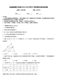 云南省曲靖市马龙县2022-2023学年七下数学期末达标测试试题含答案