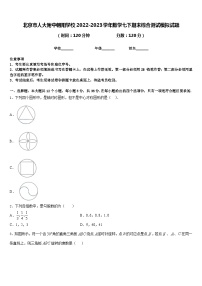 北京市人大附中朝阳学校2022-2023学年数学七下期末综合测试模拟试题含答案