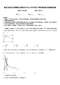 黑龙江省牡丹江管理局北斗星协会2022-2023学年七下数学期末复习检测模拟试题含答案