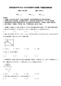 合肥市重点中学2022-2023学年数学七年级第二学期期末调研试题含答案