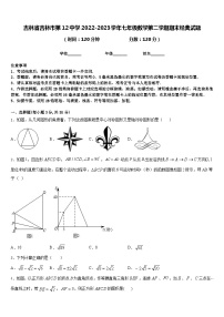 吉林省吉林市第12中学2022-2023学年七年级数学第二学期期末经典试题含答案