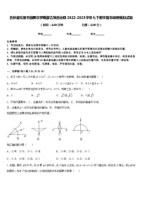 吉林省松原市前郭尔罗斯蒙古族自治县2022-2023学年七下数学期末调研模拟试题含答案