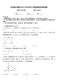 哈尔滨市平房区2022-2023学年七下数学期末综合测试试题含答案