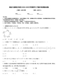 黑龙江省绥化市名校2022-2023学年数学七下期末考试模拟试题含答案