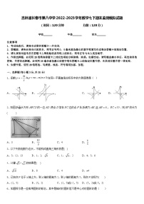 吉林省长春市第八中学2022-2023学年数学七下期末监测模拟试题含答案